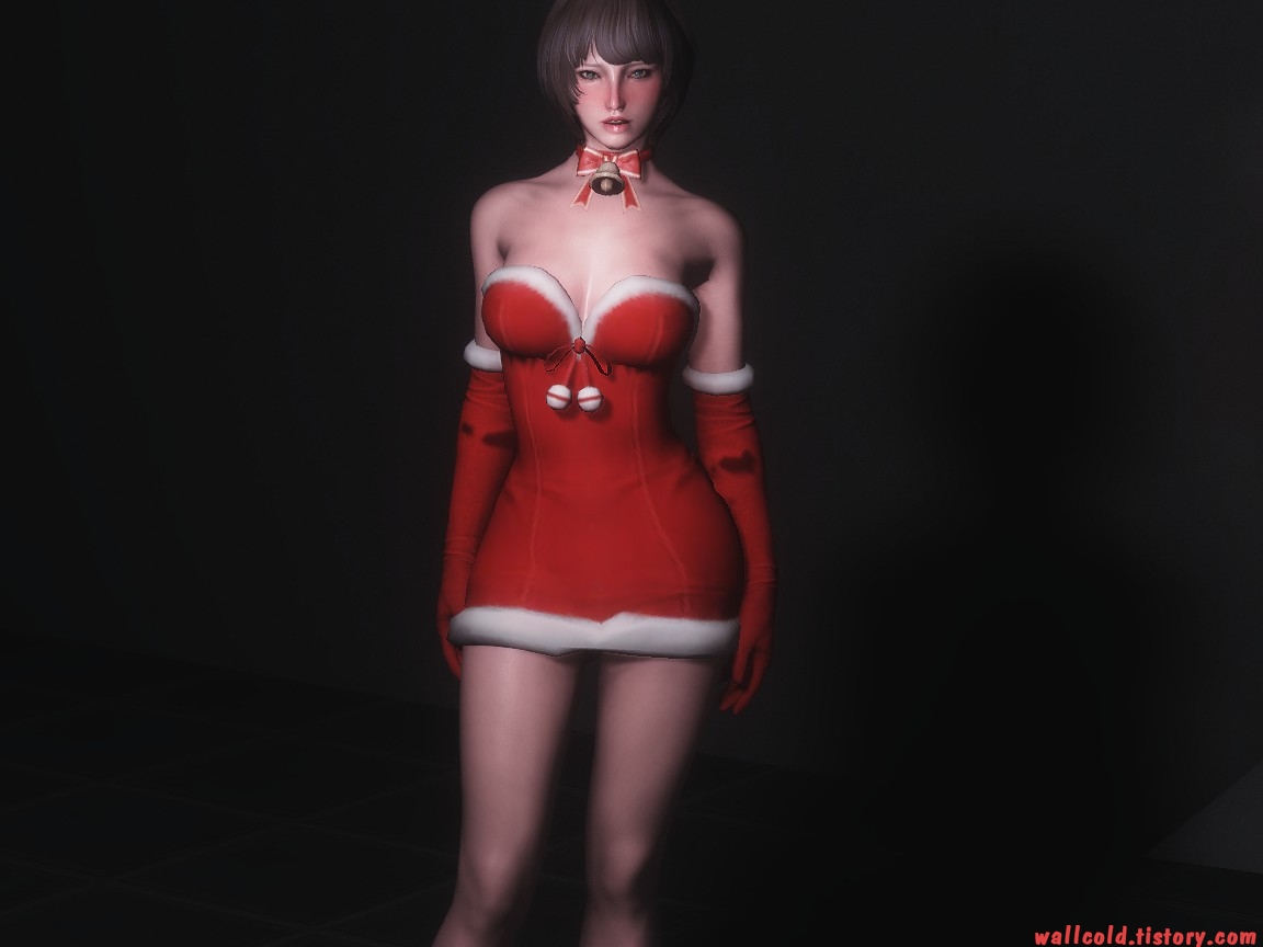 스카이림 의상 - 산타걸 의상 tera christmas clothes skyrim mod 002