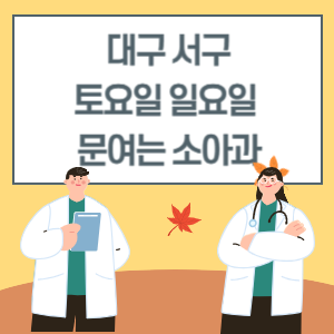 대구 서구 토요일 일요일 소아과 진료 문여는 병원 리스트