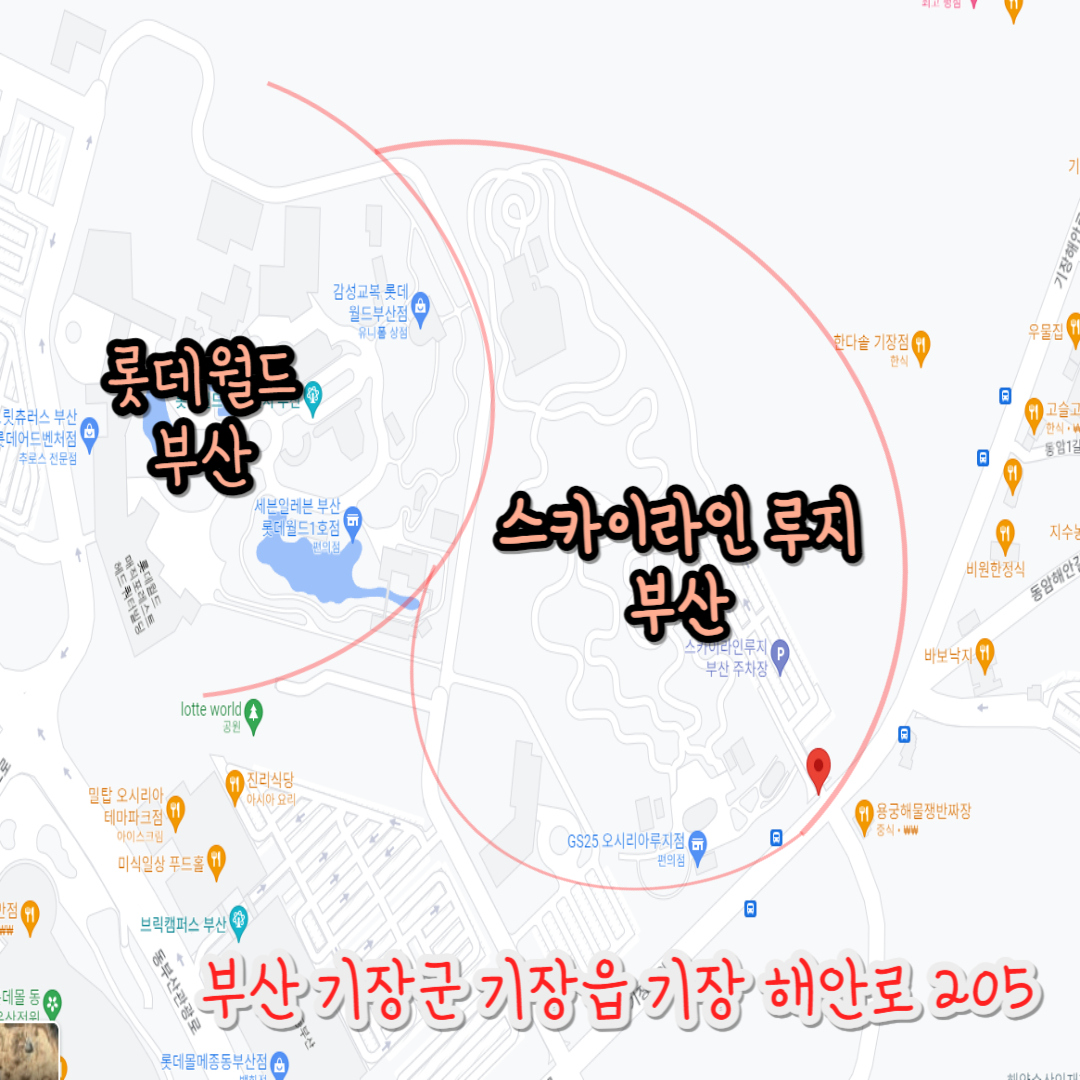 스카이라인-루지-부산의-위치