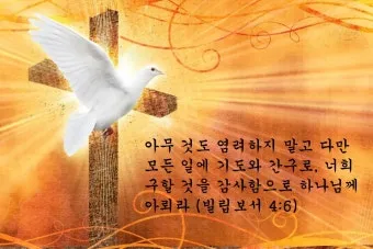 전도서 6장 인생이란 성경 말씀 묵상_15