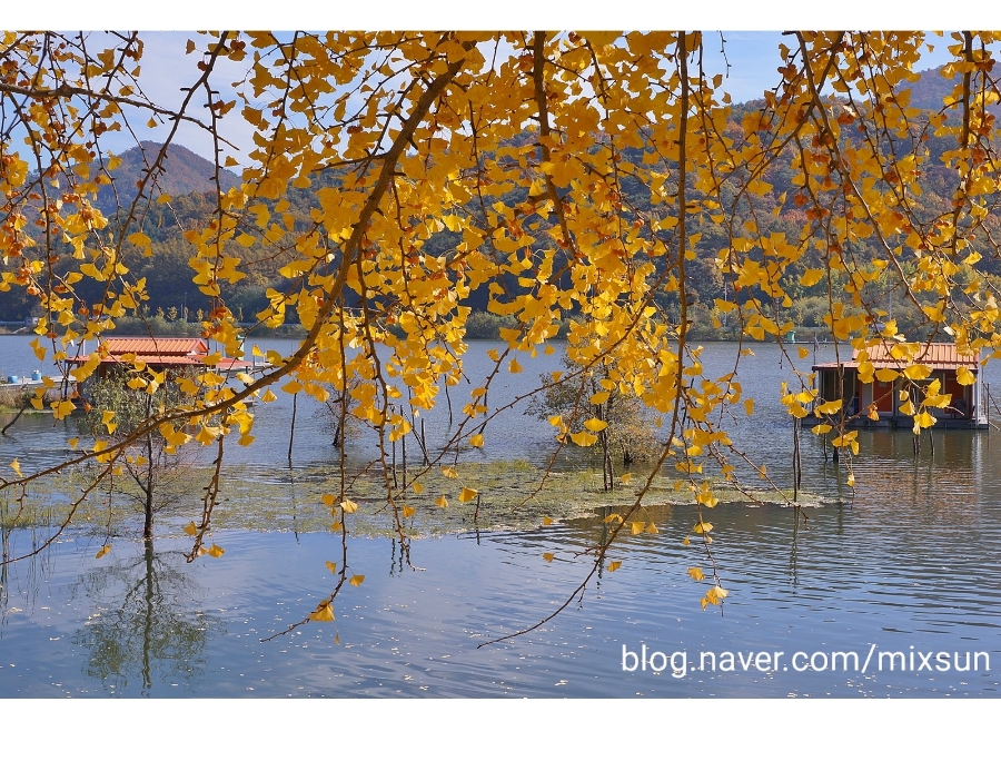 단풍구경 가볼만한 곳 괴산 가볼만한곳 23