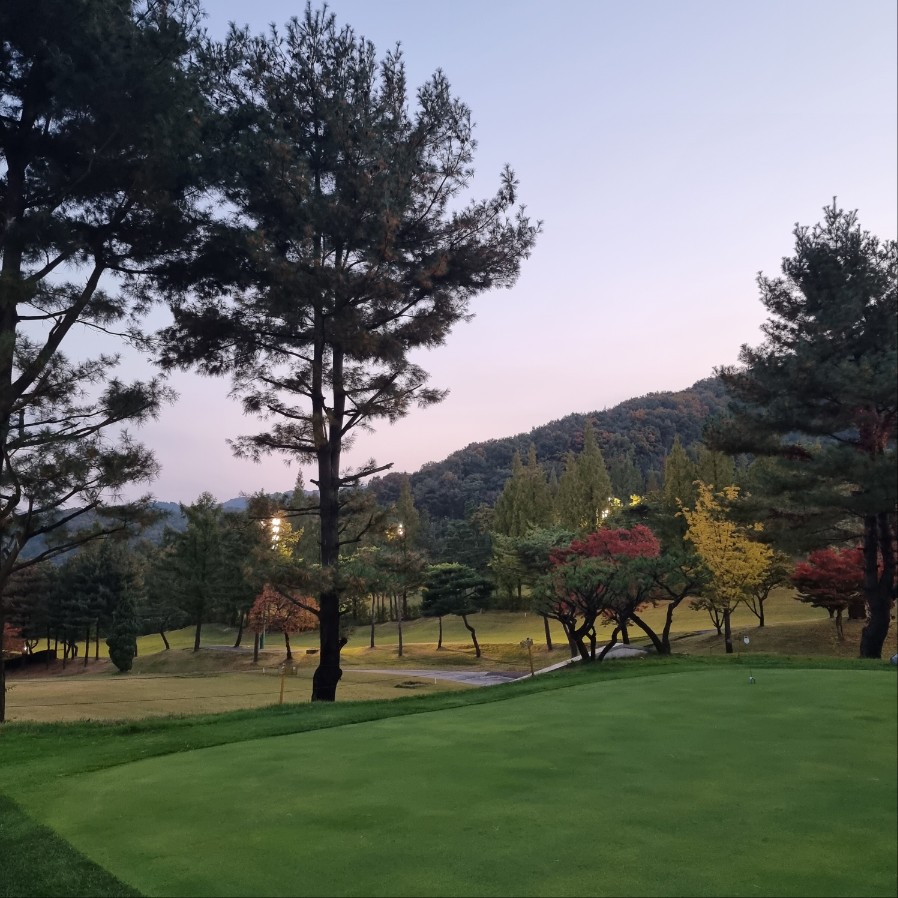 천룡CC 그린 연습장 2