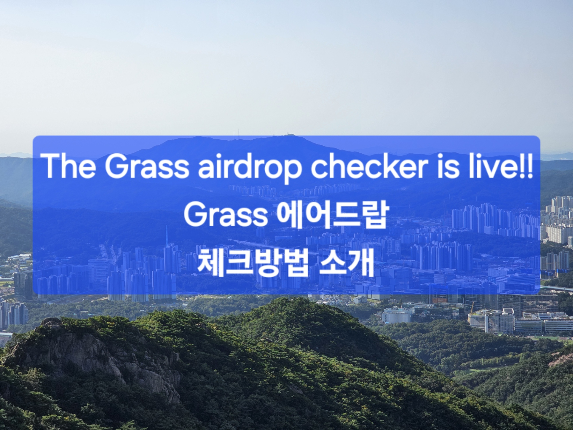 Grass Airdrop 수량 체크 방법 소개