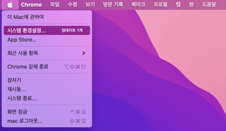 [애플] 메뉴 - 시스템 환경설정