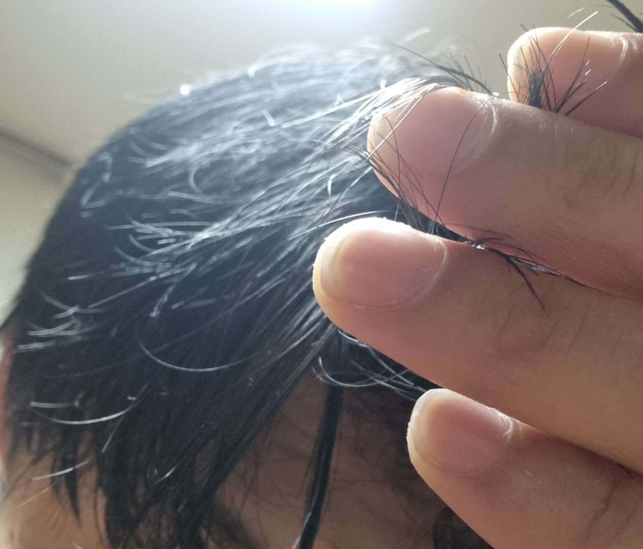  기분 변화를 주기위한 셀프염색 올리브영 프레쉬라이트 쿨 블랙염색약 내돈솔직후기