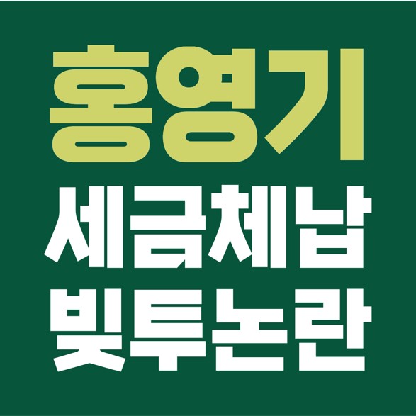  얼짱 홍영기, 쇼핑몰 세금 체납과 아버지 빚투 논란 해명.