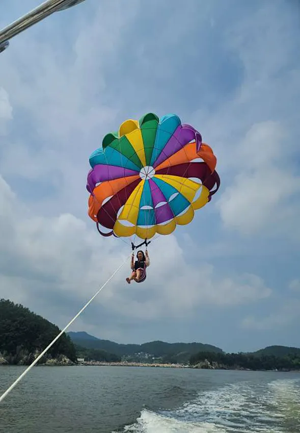 아라베이