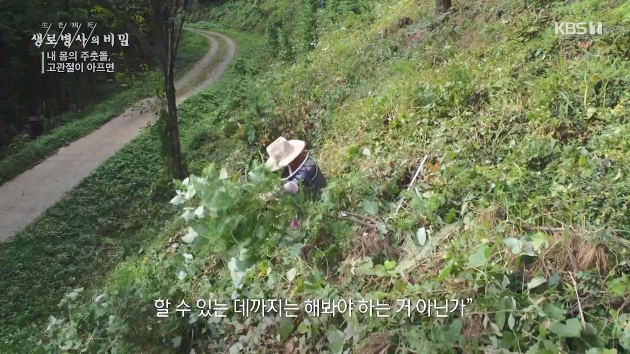 생로병사의 비밀.E890.231116p-NEXT.mp4_20231116_204859.891.jpg