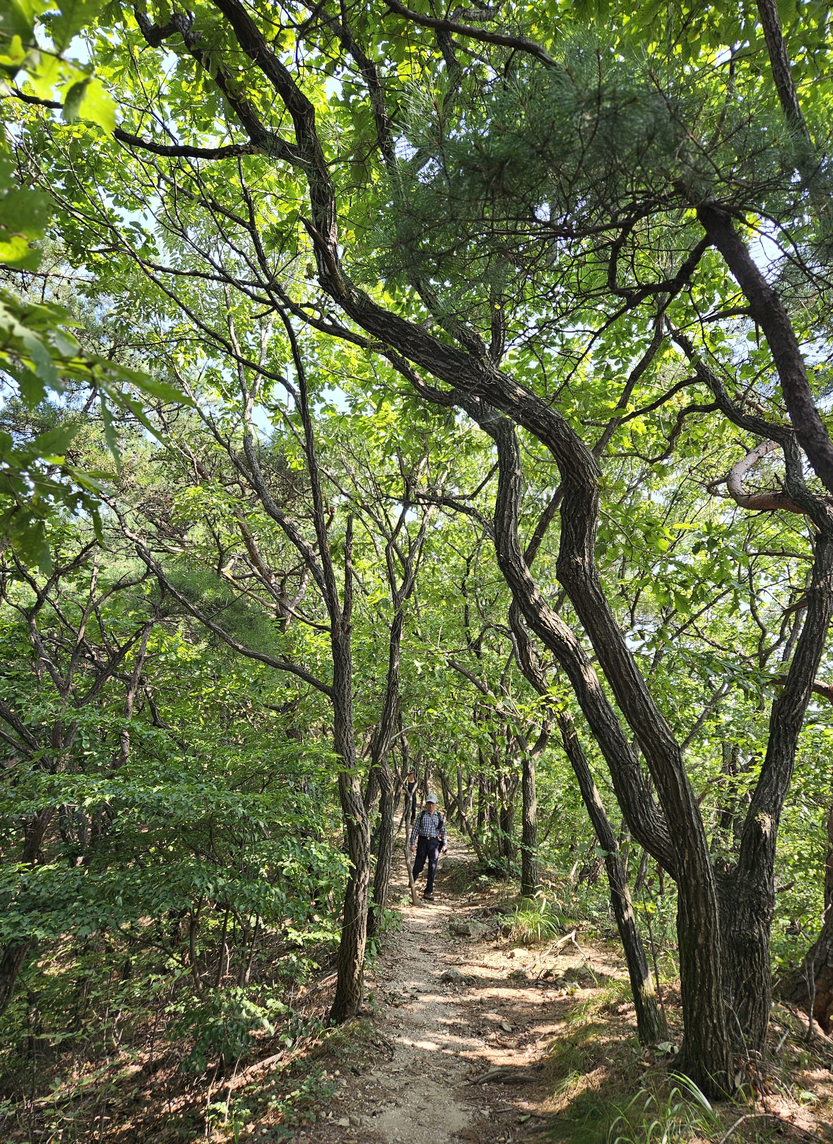 산길 이미지