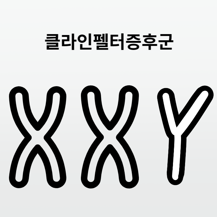 클라인펠터증후군
