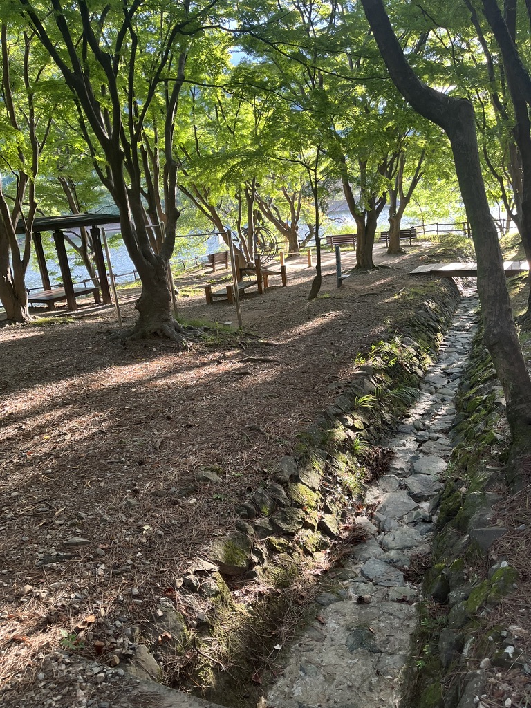 풍경-사진-6