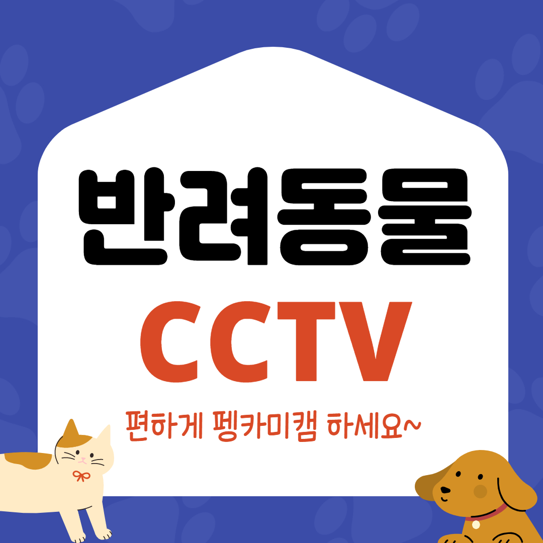 반려동물 CCTV