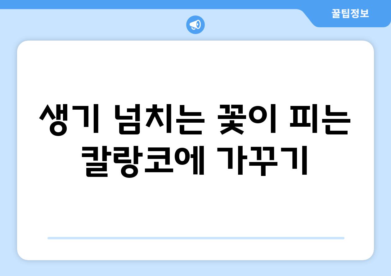 생기 넘치는 꽃이 피는 칼랑코에 가꾸기