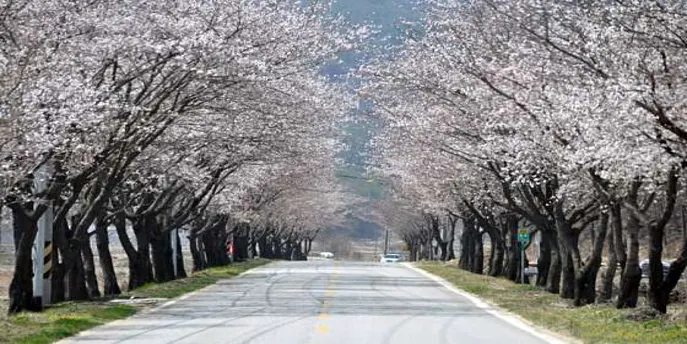 예천권씨병암정및별묘