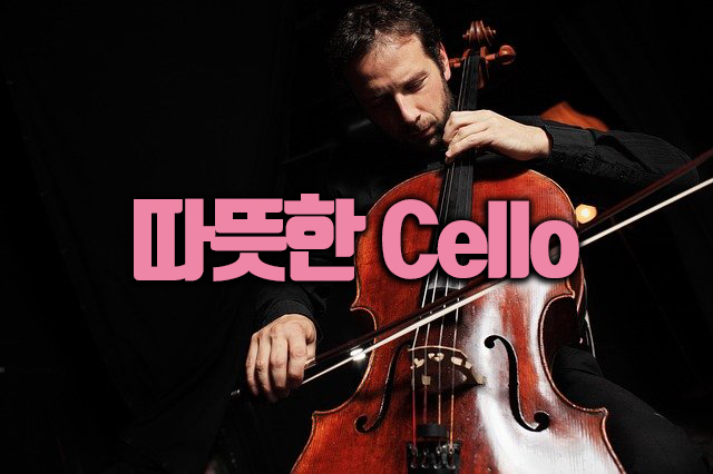  악기론 class 첼로(Cello)