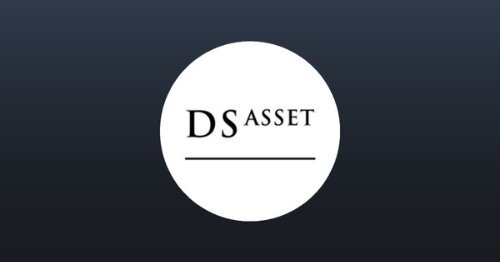 DS Asset Logo