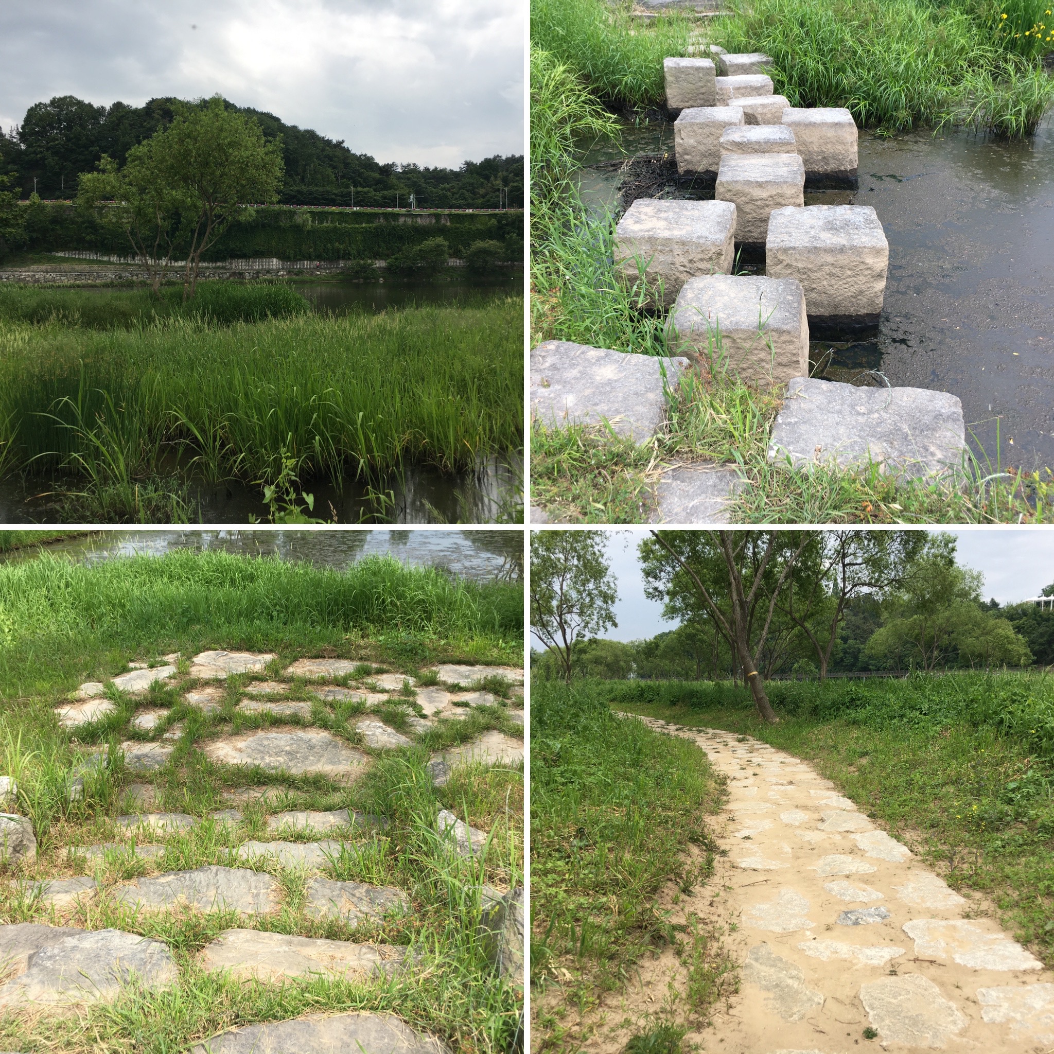  진주 상평동 산책로 다이어트 확찐자