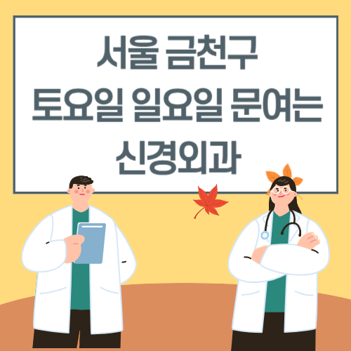 서울 금천구 토요일 일요일 신경외과 진료 병원 리스트