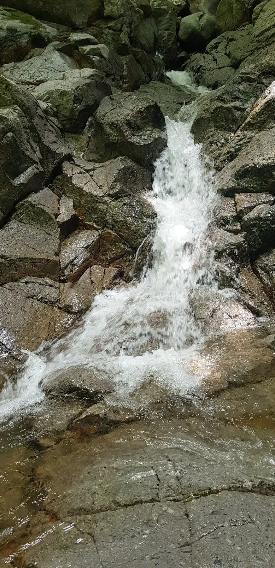 포항 동대산