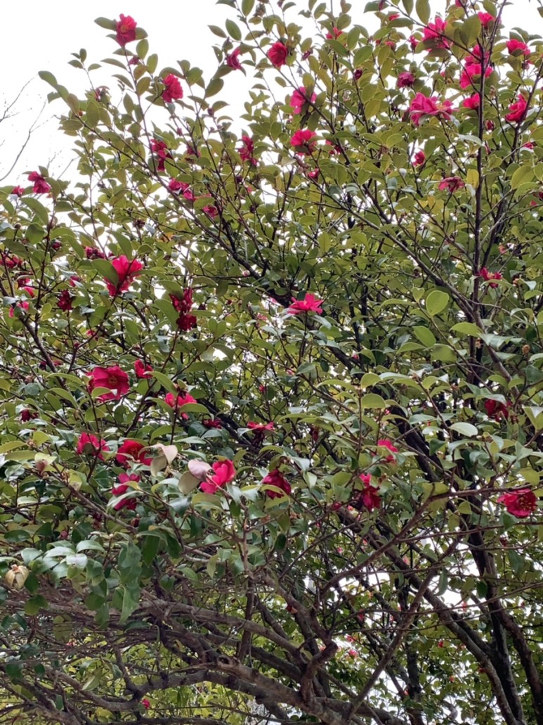 [여수] 겨울방학 1박2일, 기숙사, 식당, 카페 15