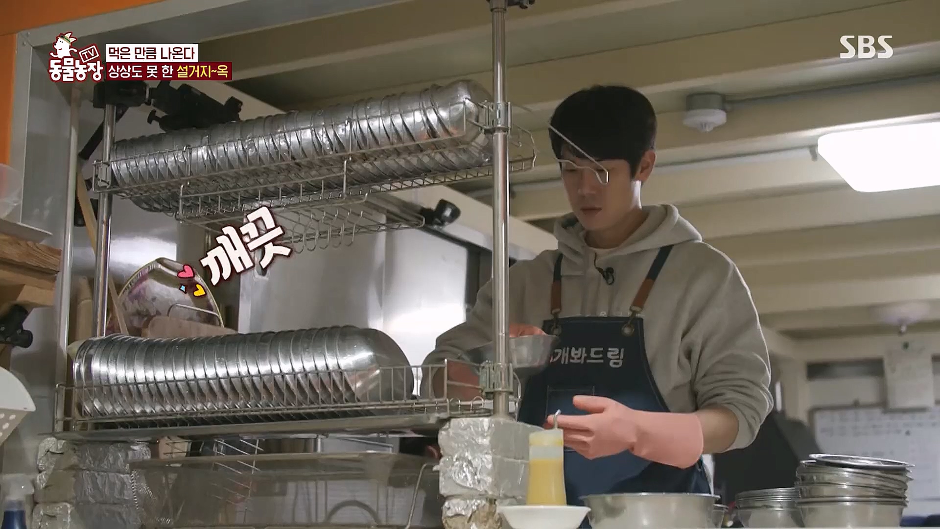 TV 동물농장.E1111.230312p.H264-F1RST.mp4_20230312_180002.679.jpg