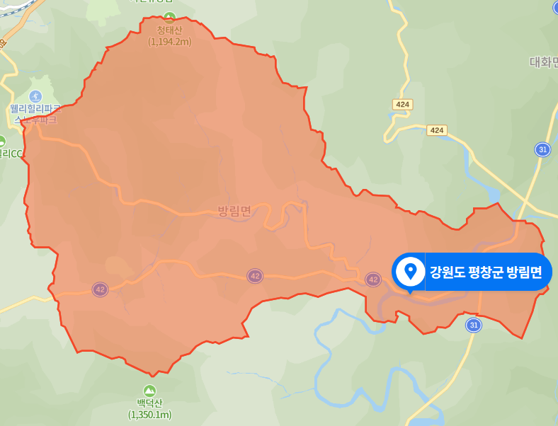  강원도 평창군 방림면 무단횡단 교통사고 사망사건 (2020년 11월 10일)