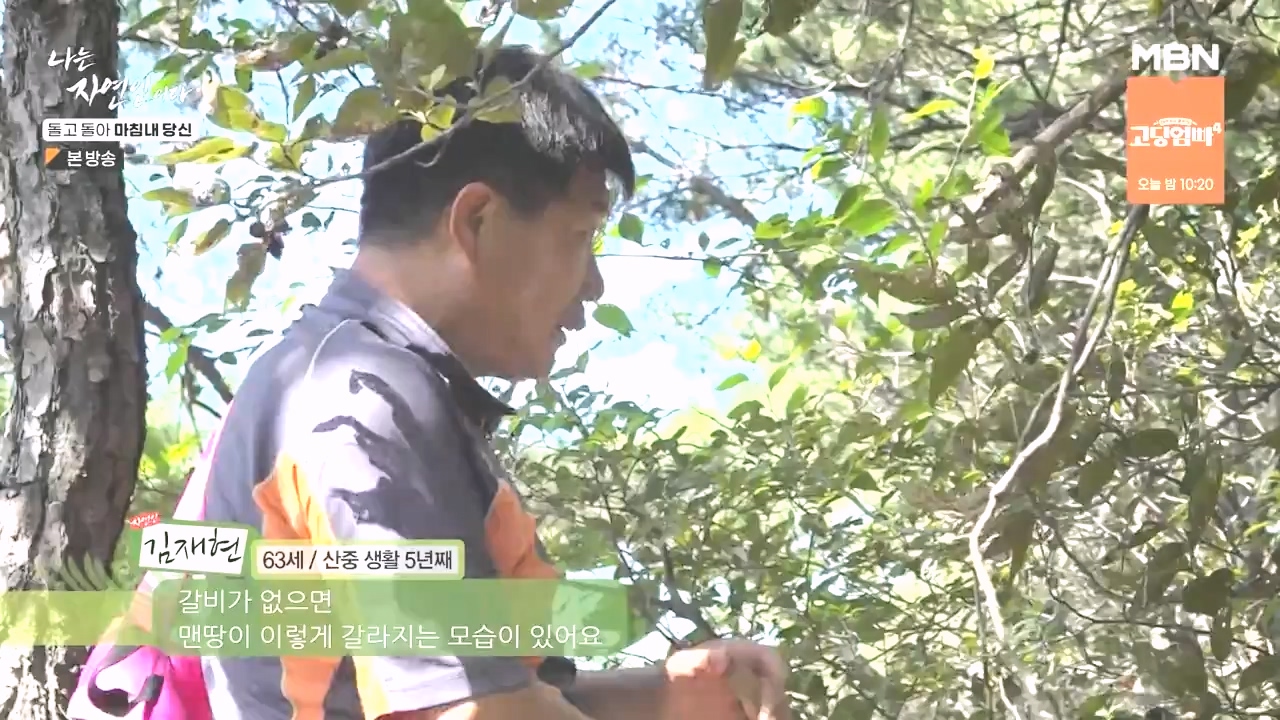 나는 자연인이다.E577.231026p-NEXT.mp4_20231026_200350.350.jpg