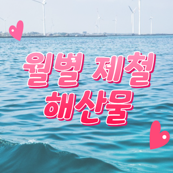  월별 제철 해산물