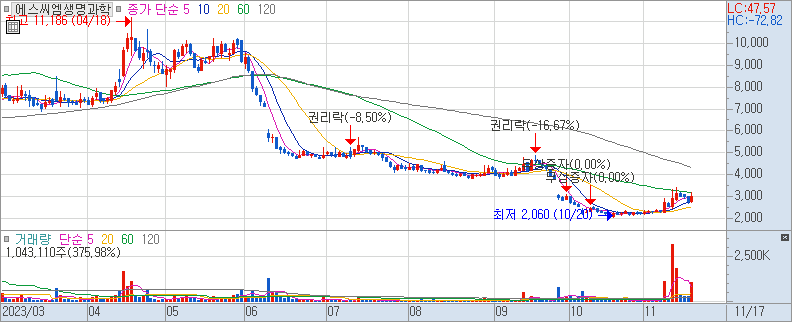 에스씨엠생명과학 일봉 차트 (장중 주가 차트) 2023/11/17