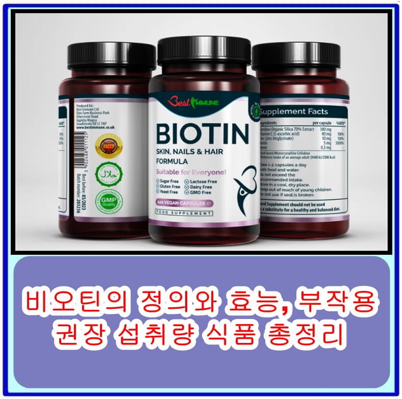  비오틴의 정의와 효능, 부작용, 권장 섭취량 식품 총정리