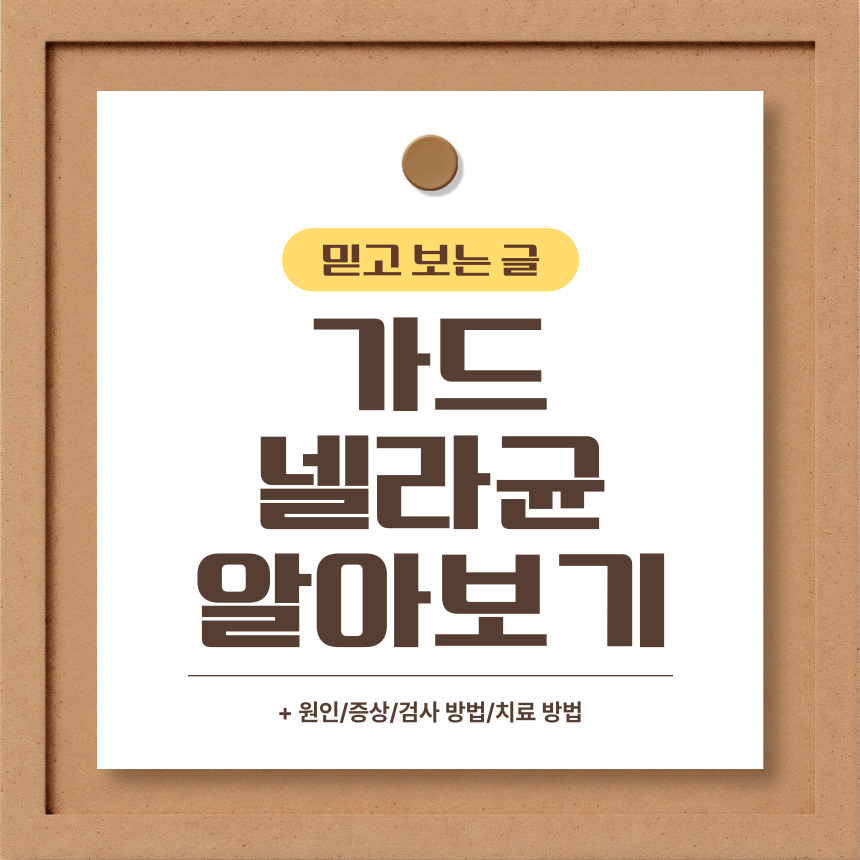  가드넬라균 알아보기