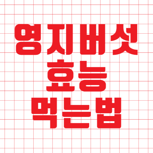  영지버섯 효능 부작용 먹는법