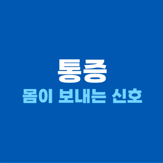 통증 몸이 보내는 신호