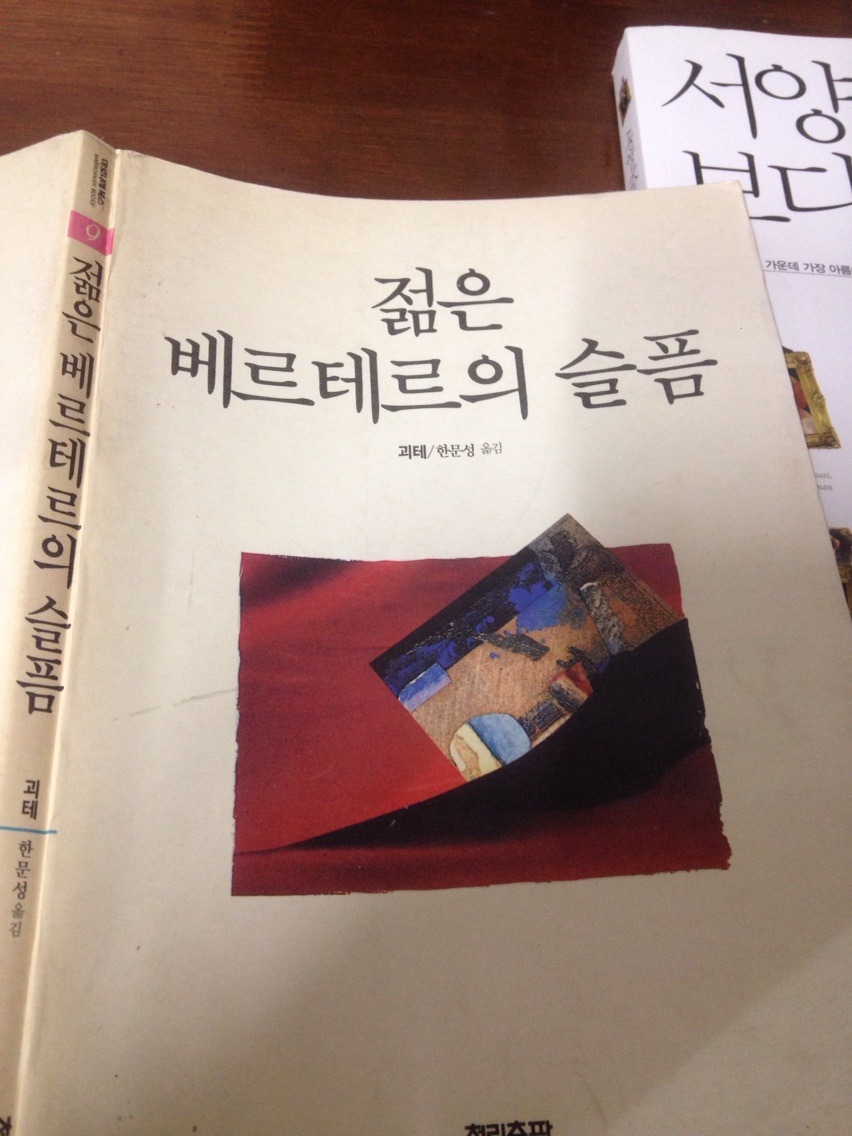 책 : 젊은 베르테르의 슬픔