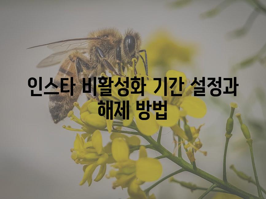 API 할당량 초과 오류 5