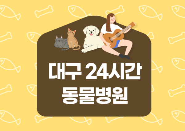 24시 동물병원