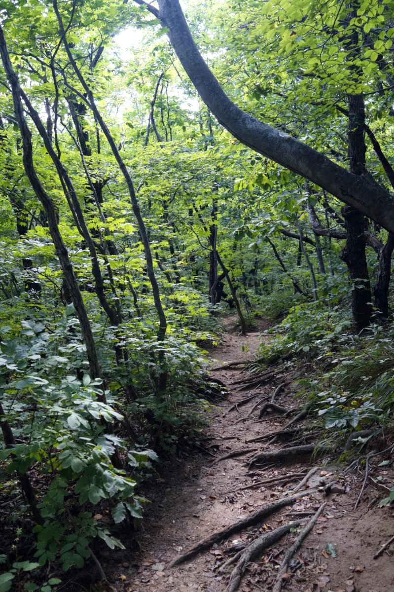 한국 명산 강원 강릉 노인봉 등산 mountain hiking