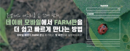 땅과 큰 일교차가 향·단단함 올리는 비결” 섬진강 품은 골짜기에서 익어가는 곡성매실…“기름진 6