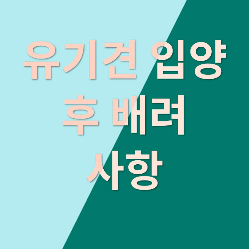 유기견 입양의 중요성_3