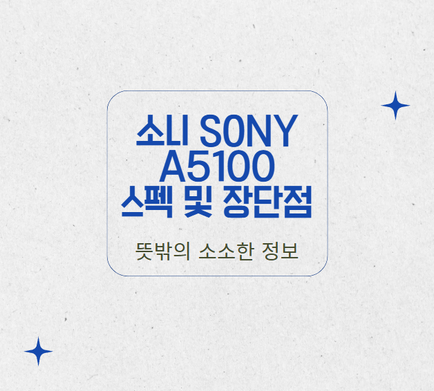 SONY 소니 A5100 미러리스 카메라