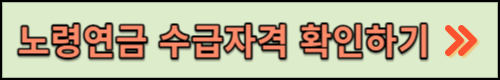 노령연금 수급자격