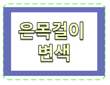  은목걸이 변색