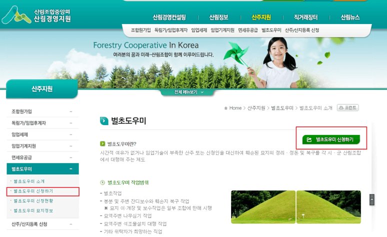 산림조합 벌초대행 가격, 벌초도우미 신청 방법