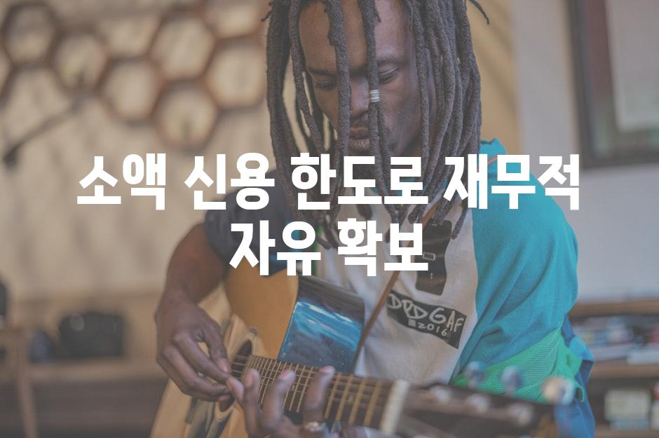 소액 신용 한도로 재무적 자유 확보