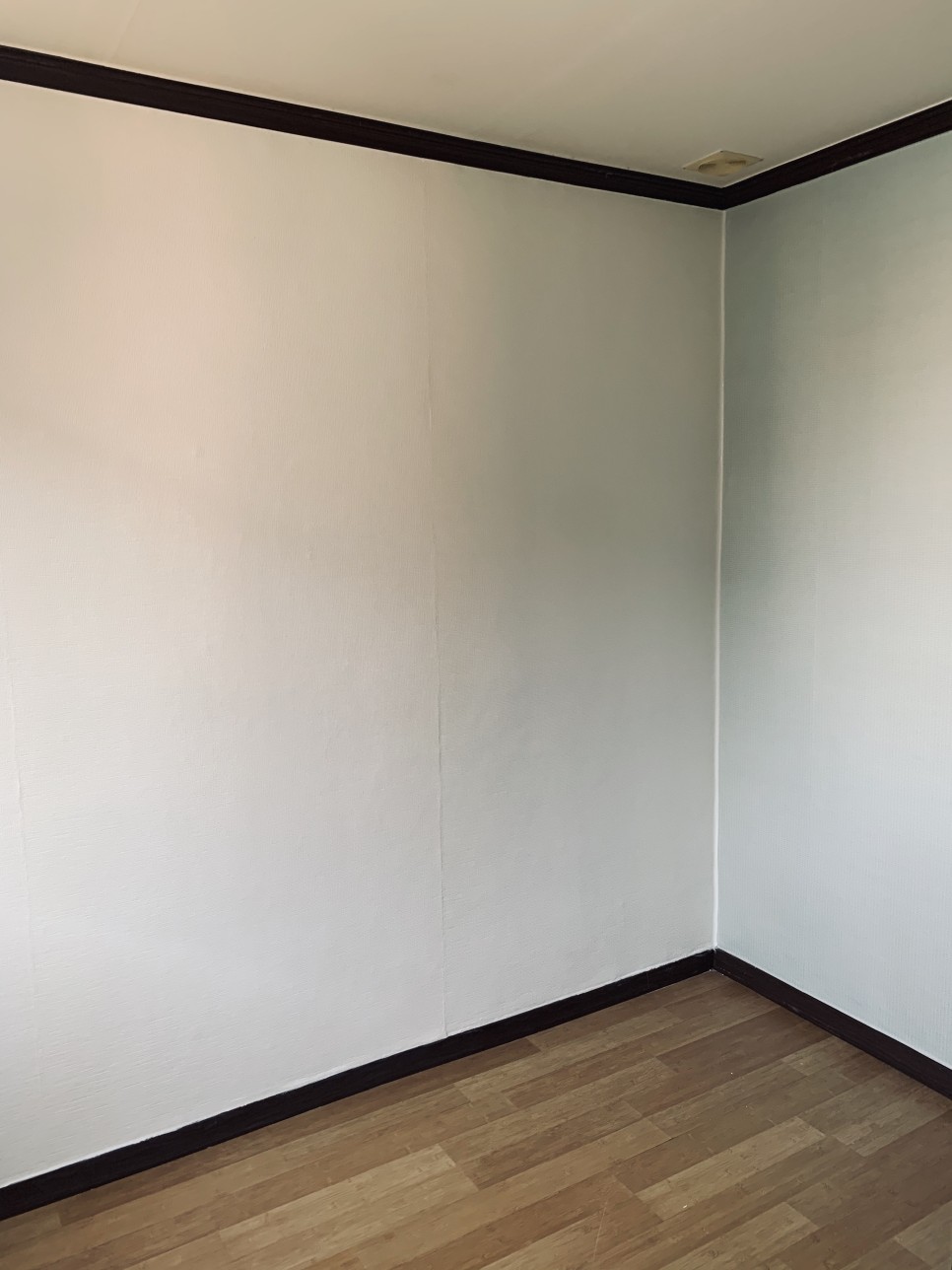 벽지곰팡이 제거 14