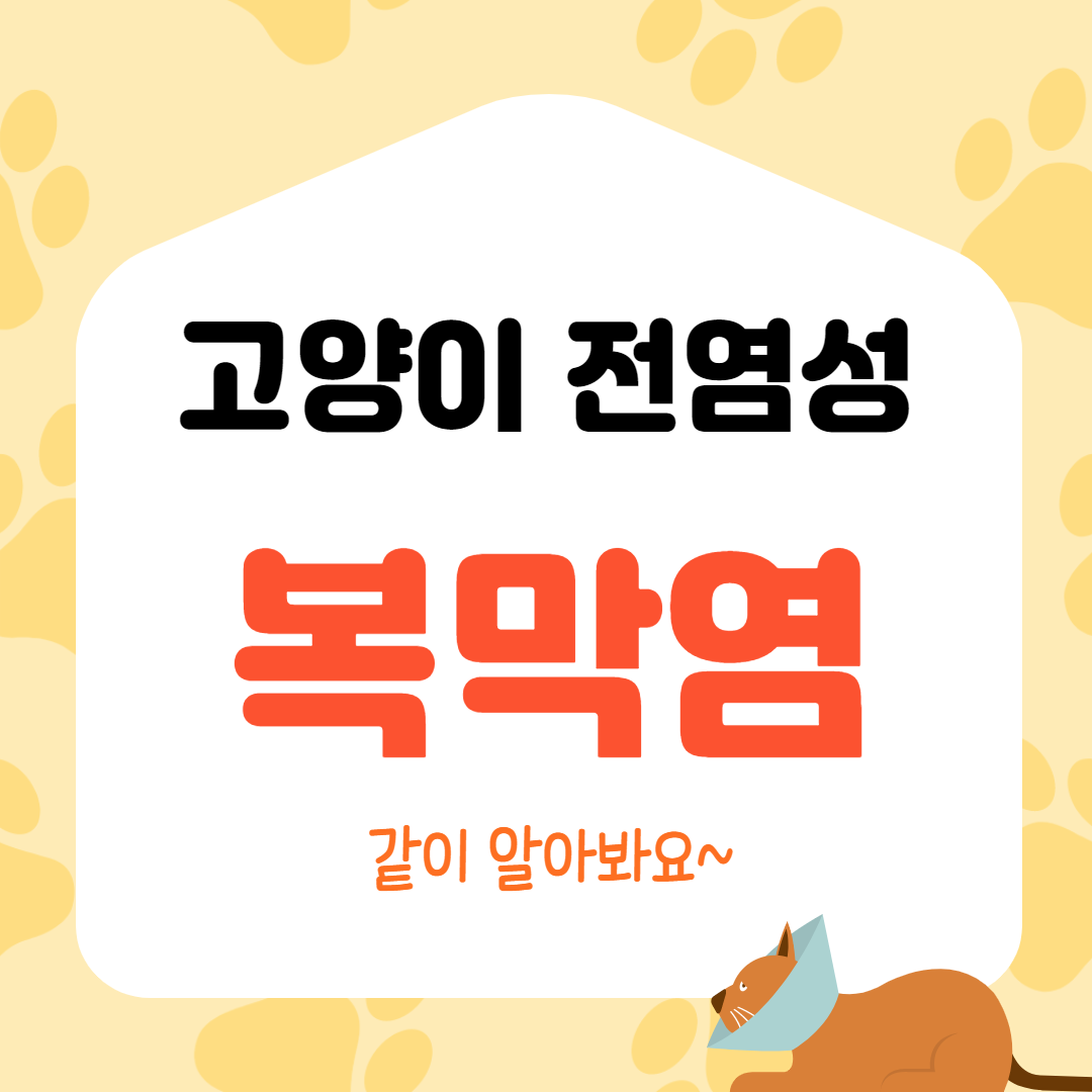  고양이 전염성 복막염 어떤 질병일까요?