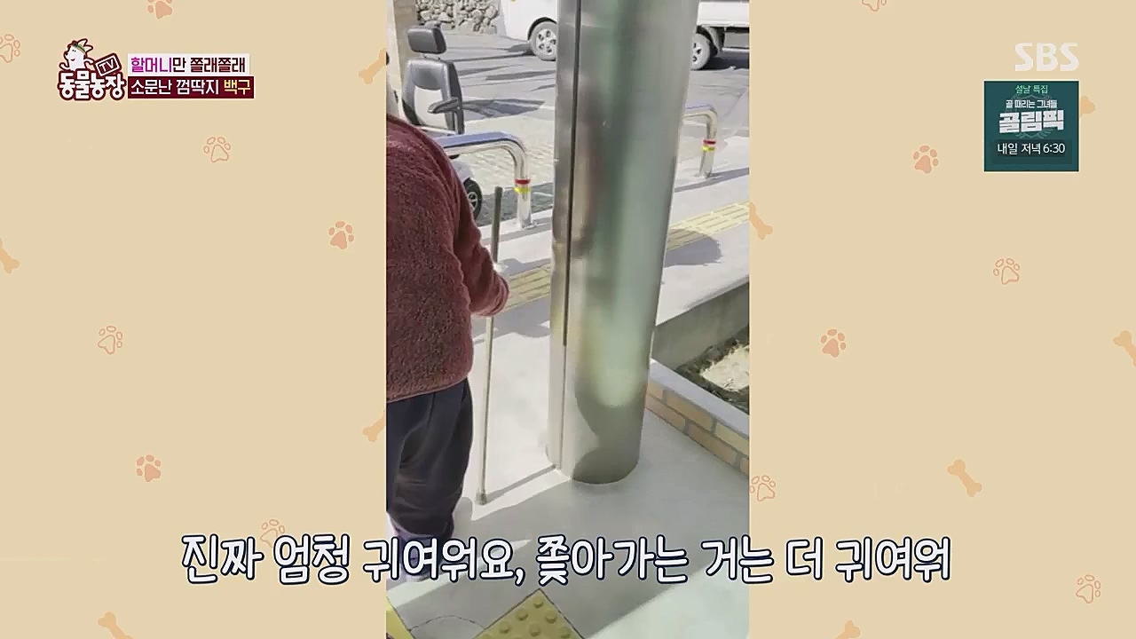 TV 동물농장.E1104.230123p.WANNA.mp4_20230123_195407.944.jpg
