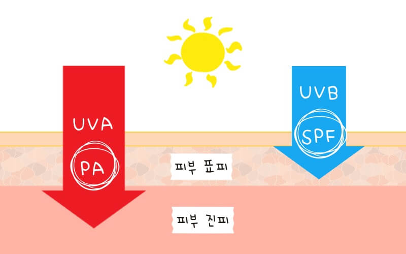 자외선-차단-설명