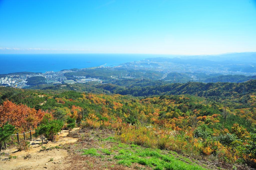 동해시 초록봉