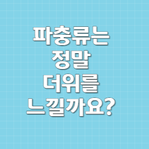 파충류는 정말 더위를 느낄까요?